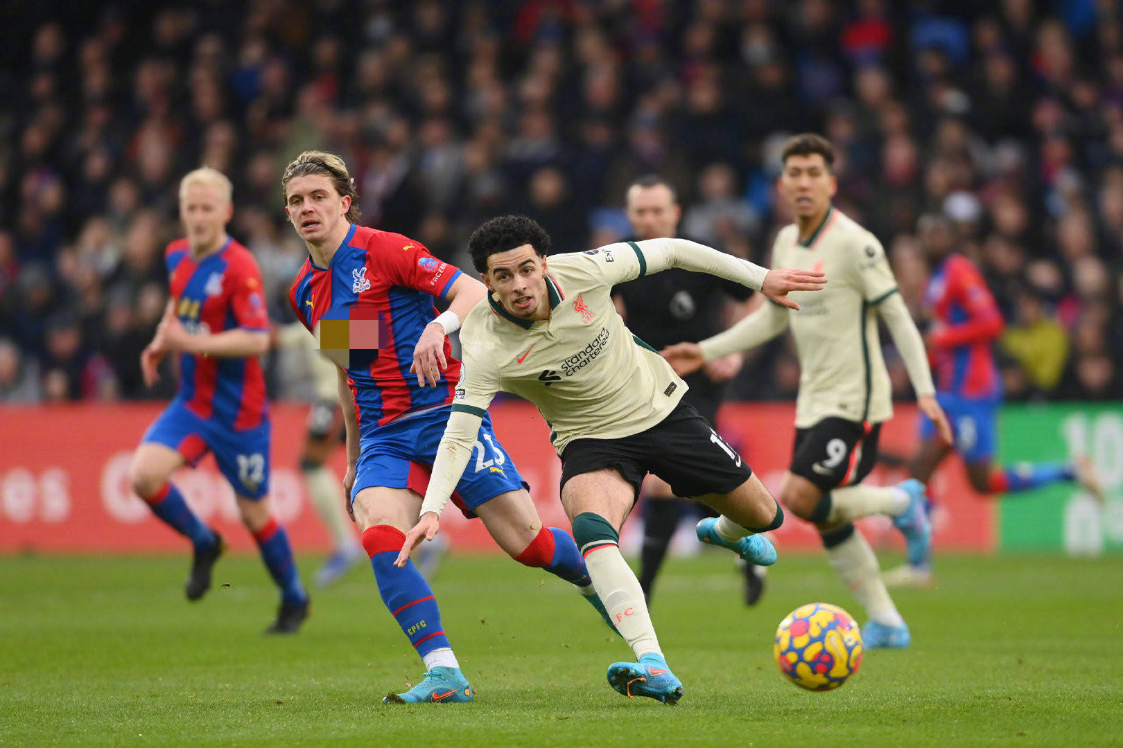 的拼搏精神 的拼搏精神